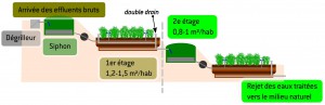 schema_plantes_F_Chazarenc